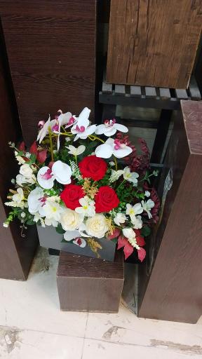 عکس گل آریسا 