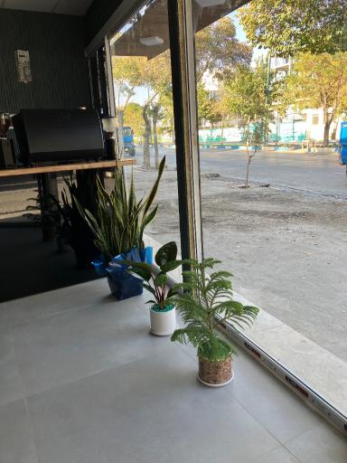 عکس کافه استوری