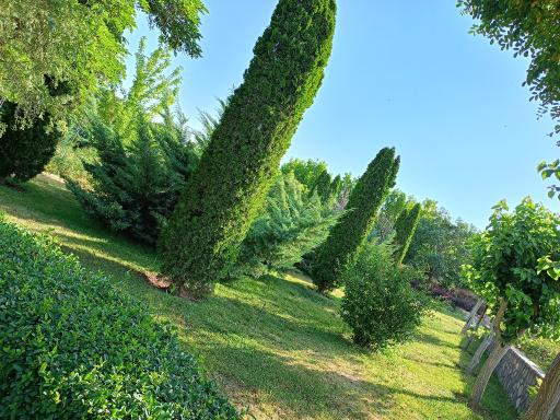 عکس کوهستان پارک نشاط (هفت تپه)