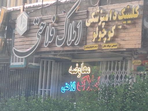 عکس املاک فلاحتی