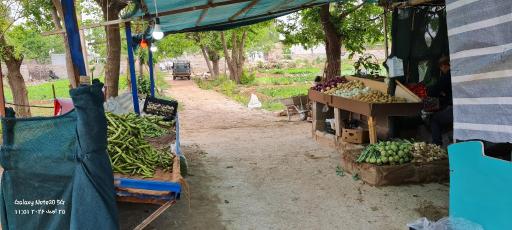 عکس سبزی فروشی