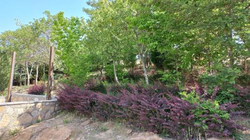 عکس کوهستان پارک نشاط (هفت تپه)