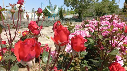 عکس کوهستان پارک نشاط (هفت تپه)