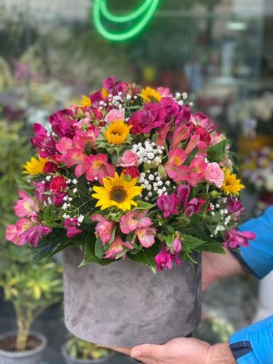 عکس گل ارکیده