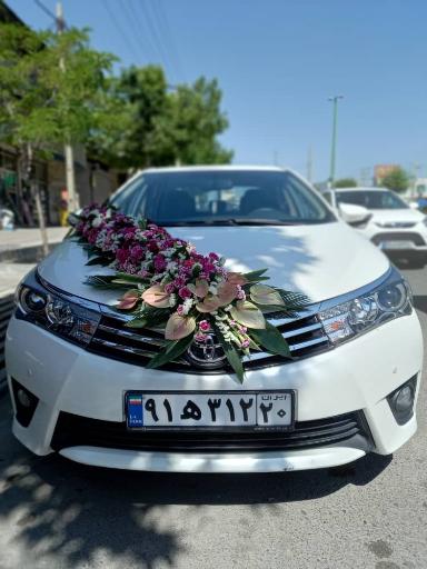 عکس گل ارکیده