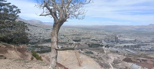 عکس پارک جنگلی