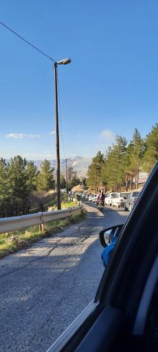 عکس پارک جنگلی