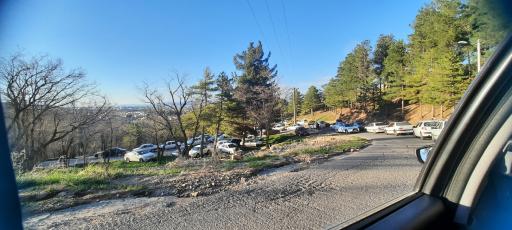 عکس پارک جنگلی