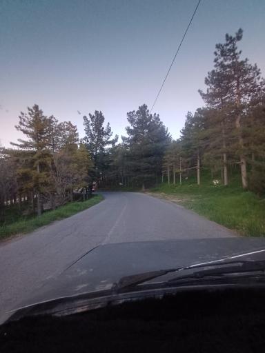 عکس پارک جنگلی