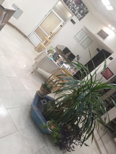 عکس کتابخانه رییس فرهمند