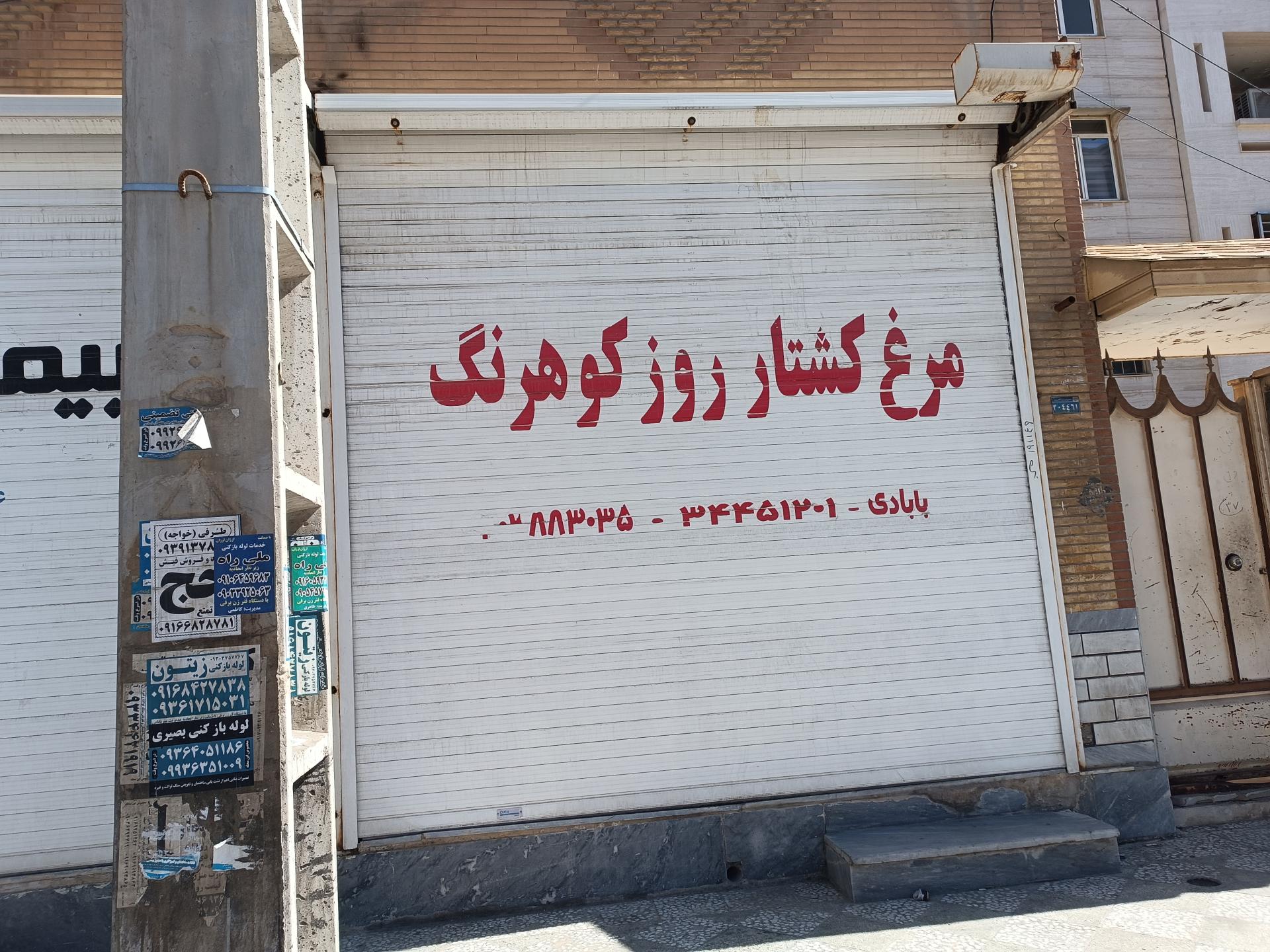 عکس مرغ فروشی کوهرنگ