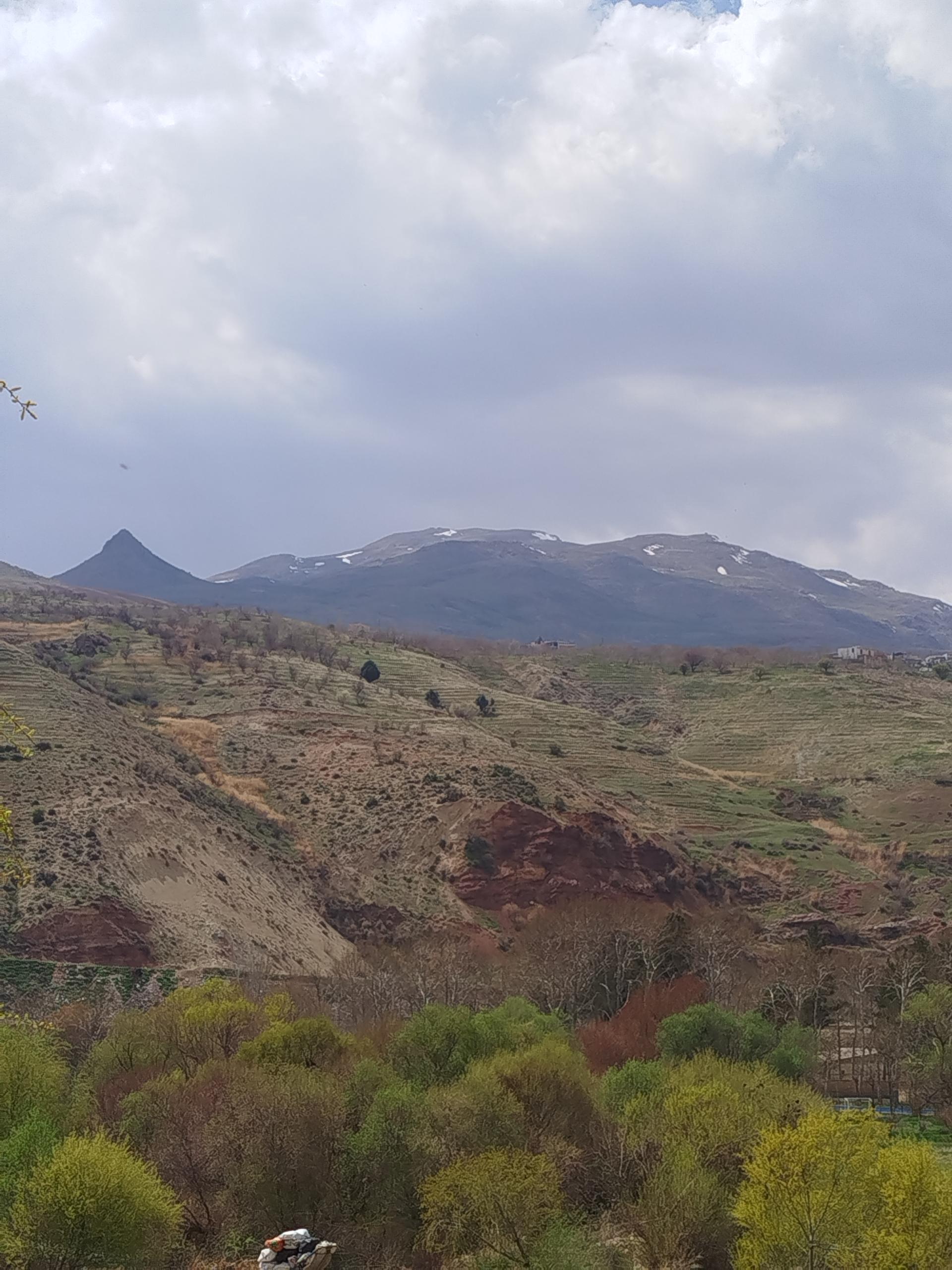 عکس پارک جنگلی