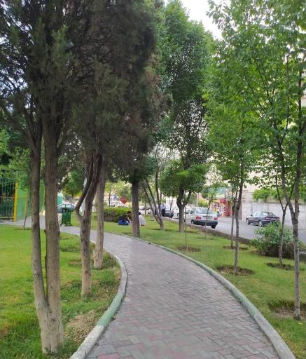 عکس بوستان شقایق