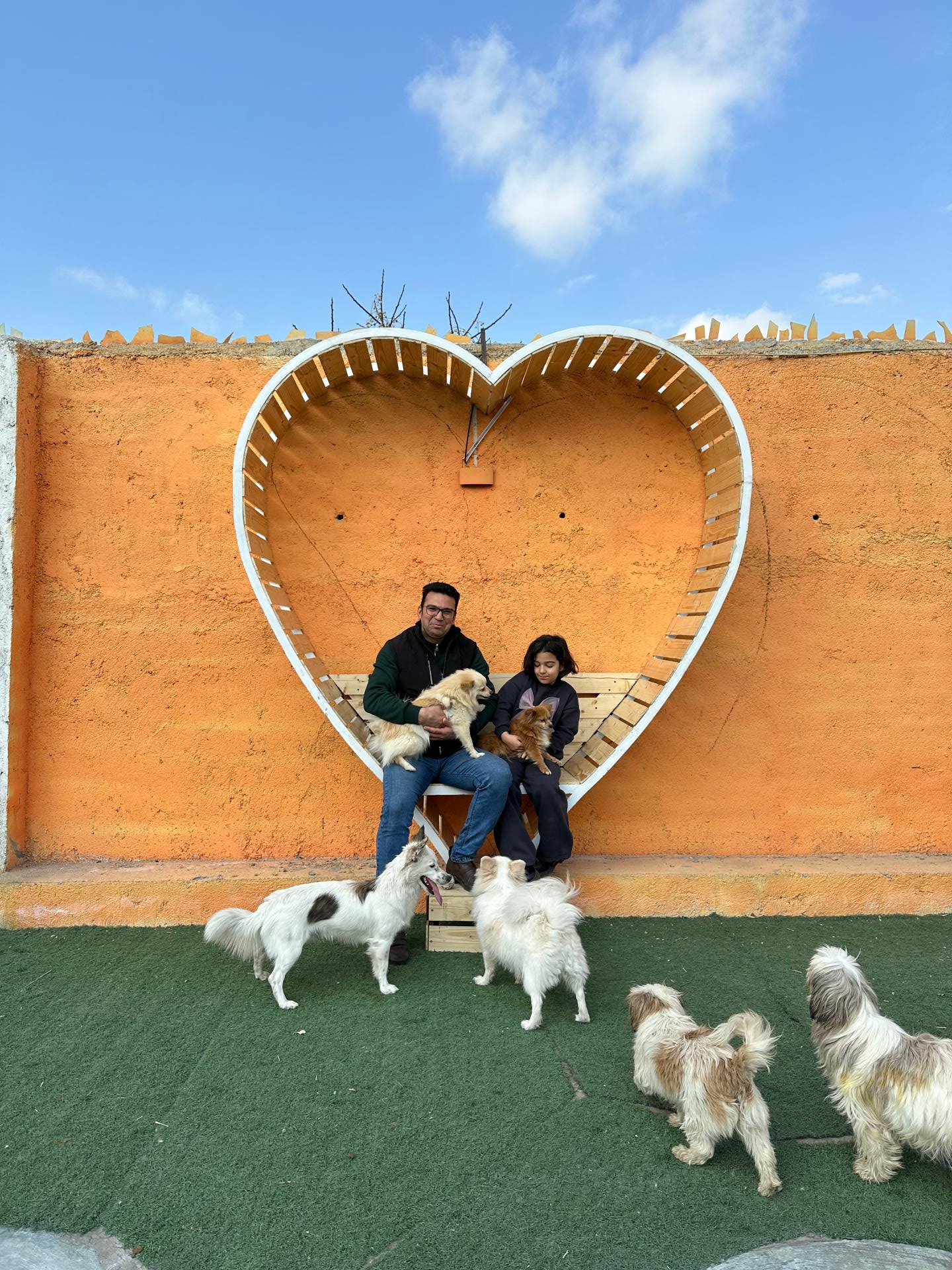 عکس پانسیون سگ نیک داگ