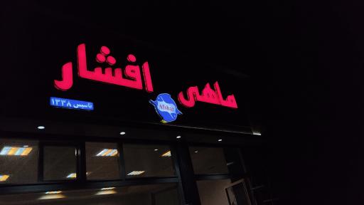 عکس ماهی افشار 