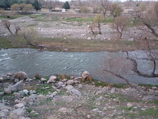 عکس پارک جنگلی