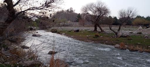 عکس پارک جنگلی
