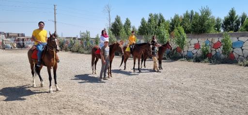 عکس باشگاه سوارکاری نعل