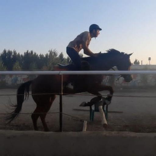 عکس باشگاه سوارکاری نعل