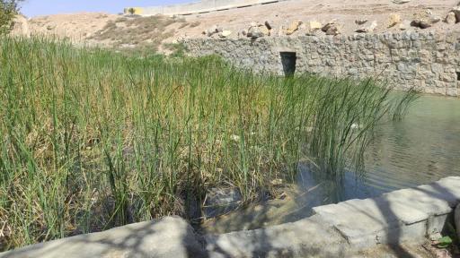 عکس چشمه آب سنجدی | چشمه رضا