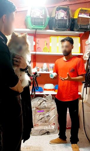 عکس پانسیون سگ نیک داگ