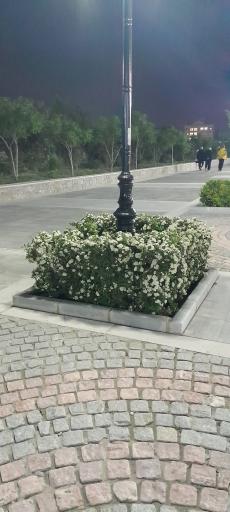 بوستان کوهستانی وفا