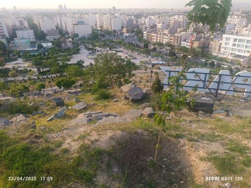 عکس بوستان کوهستانی وفا