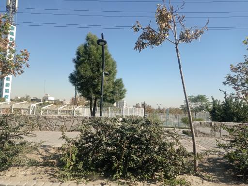 عکس بوستان کوهستانی وفا