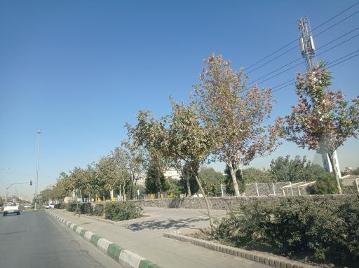 عکس بوستان کوهستانی وفا