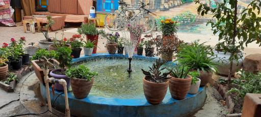 عکس مهمانپذیر آمادای