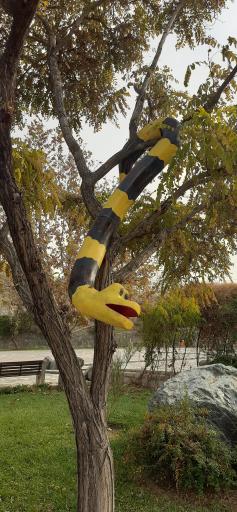 عکس بوستان کوهستانی وفا