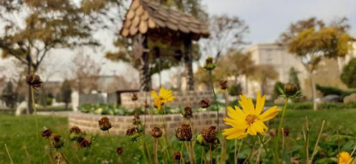 عکس بوستان کوهستانی وفا