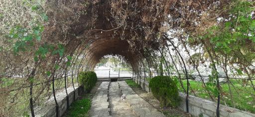 عکس بوستان کوهستانی وفا