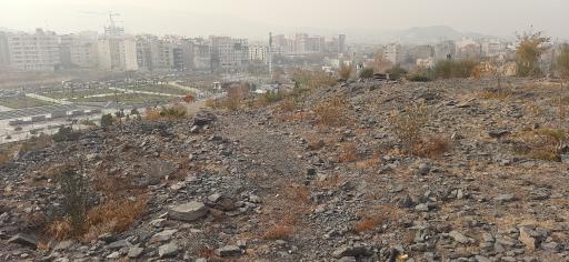 عکس بوستان کوهستانی وفا