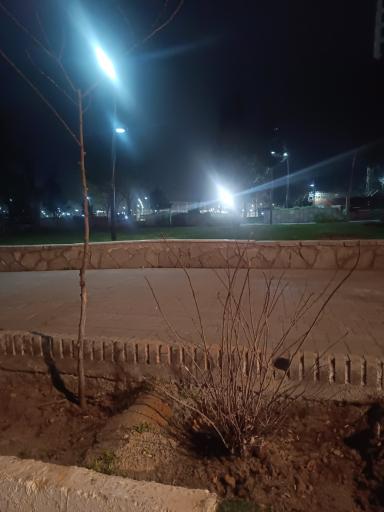 عکس بوستان کوهستانی وفا