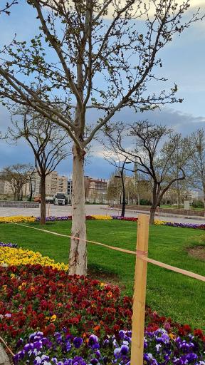 عکس بوستان کوهستانی وفا