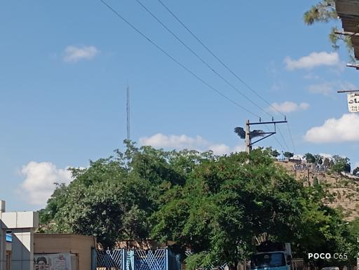 عکس بوستان کوهستانی وفا