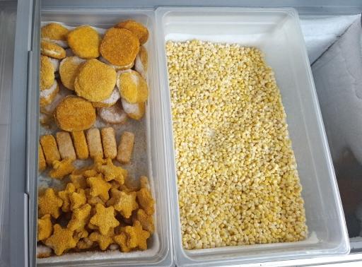 مستر پروتئین