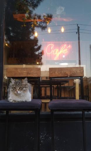 عکس کافه آچار