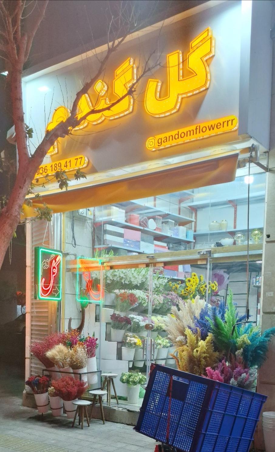 عکس گل گندم