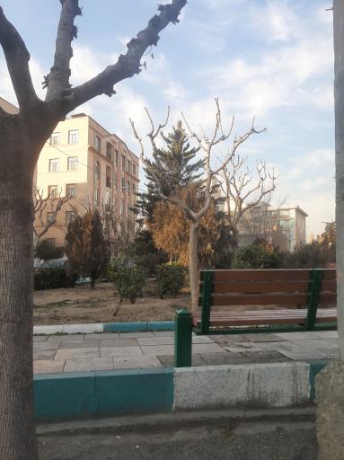 عکس بوستان یاس