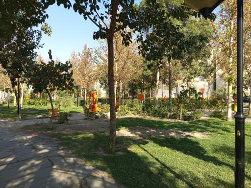 عکس بوستان کاج