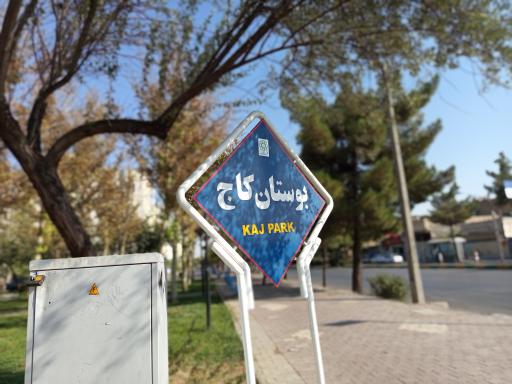 عکس بوستان کاج
