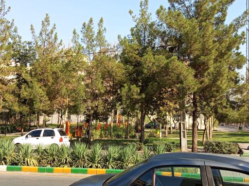 عکس بوستان کاج