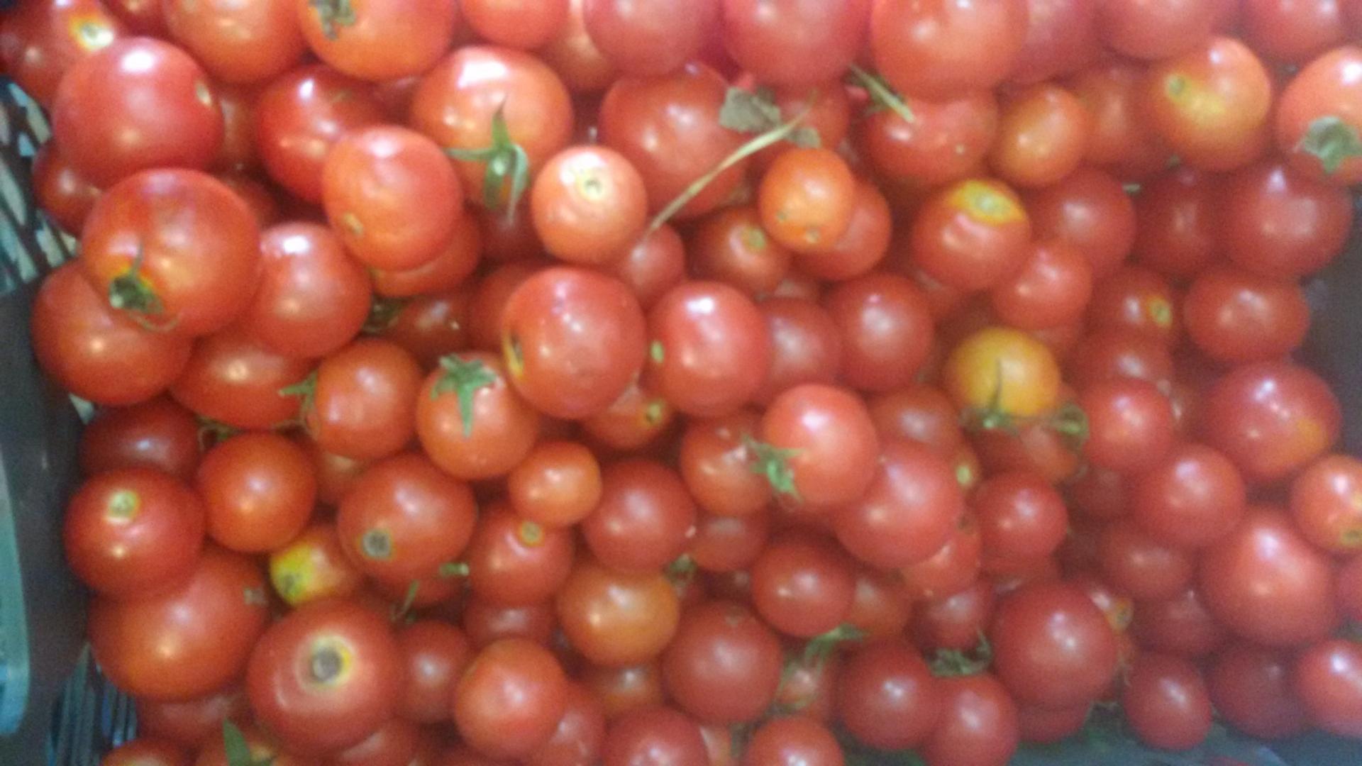 عکس میوه سرای برادران رضایی