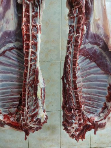 عکس قصابی پورجان