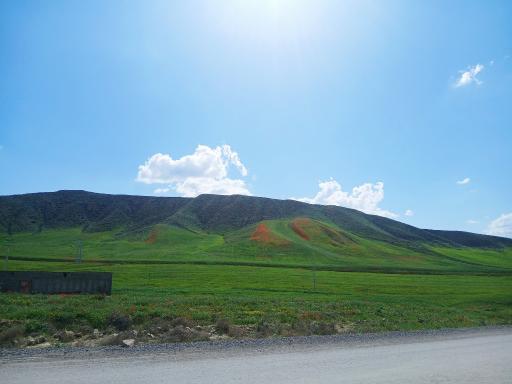 عکس راز