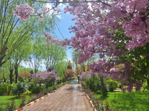 عکس دانشگاه آیت الله بروجردی