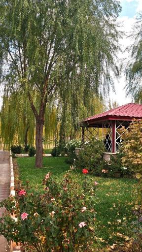 عکس دانشگاه آیت الله بروجردی