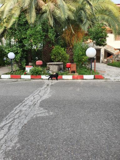 عکس شهرک نگارستان